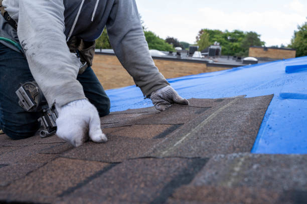 Best Metal Roofing Contractor  in Meridian Village, CO
