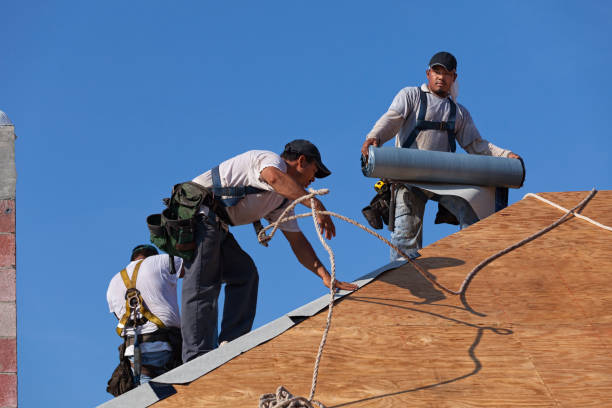 Best Shingle Roofing Installation  in Meridian Village, CO