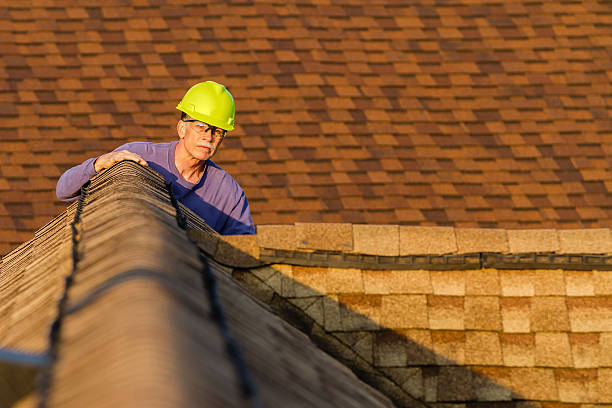 Best Roof Gutter Cleaning  in Meridian Village, CO