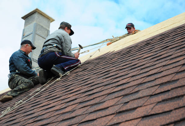 Best Flat Roof Repair Services  in Meridian Village, CO