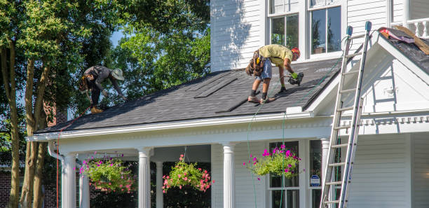 Best Sealant for Roof  in Meridian Village, CO